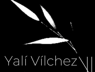 Yalí Vílchez. Joyería Contemporánea