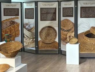 Exposición fibras vegetales