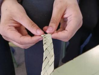 Cestería Palma MAIT