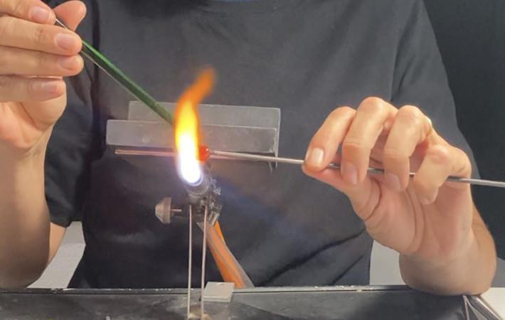 Fuego y Flor: La Murrina en Cristal de Murano con Beni Lozano