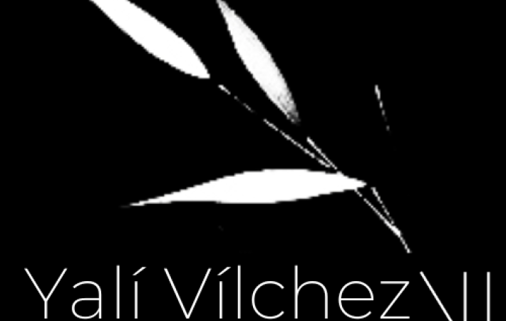 Yalí Vílchez. Joyería Contemporánea