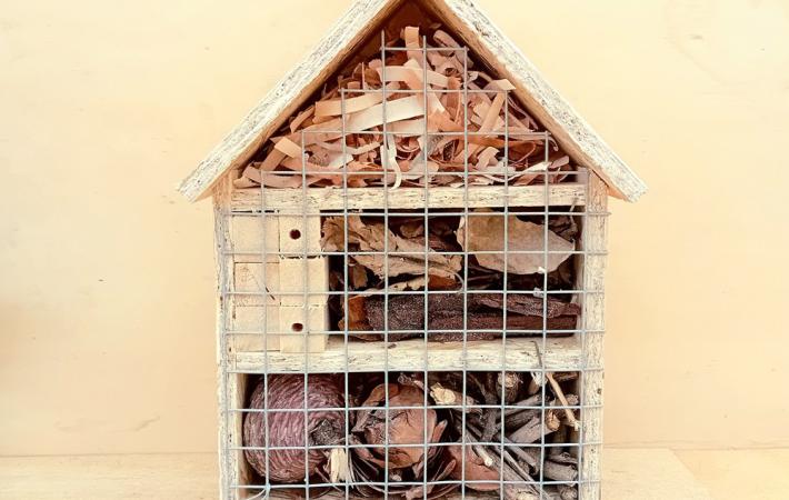 Elaboración de hotel de insectos