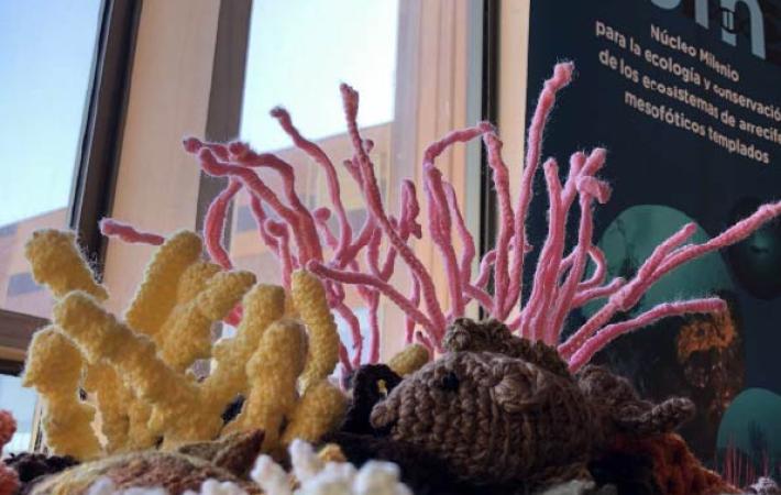 Ganchillo, fondo marino