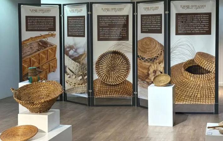 Exposición fibras vegetales