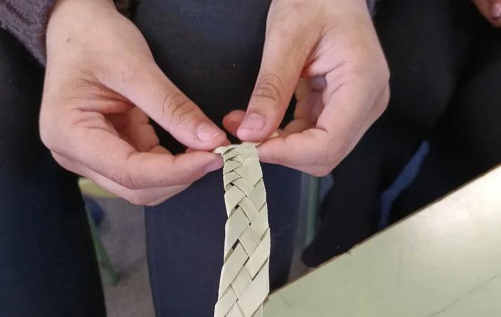 Cestería Palma MAIT