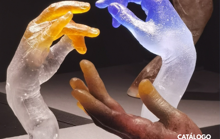 Exposición DVIDRIIO2026, Imagen de cartel, "flamenco prueba error" Jose Rodriguez. Madrid.