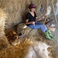 Mutur Beltz una iniciativa para poner en valor la lana del Valle de Carranza en Bizkaia
