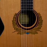 guitarra personalizada Vael de Ginés luthier 