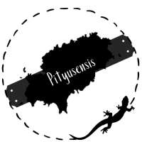 Logo Pityusensis
