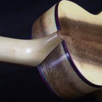  Vael de Ginés luthier 