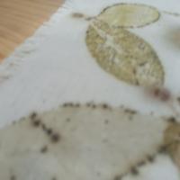 imagen detalle mantel individual estampado con ecoprint