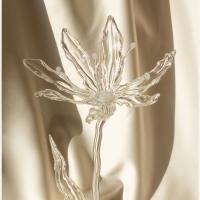 ANAÏS LLOP NEXON – PETITE A STUDIO