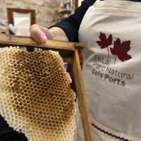 Breve explicación del mundo de las abejas, de la cera y de la miel 