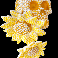 Rafa Abdón. Titulo "Los Girasoles". Técnica: Vidrio Soplado