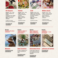 Programa de actividades